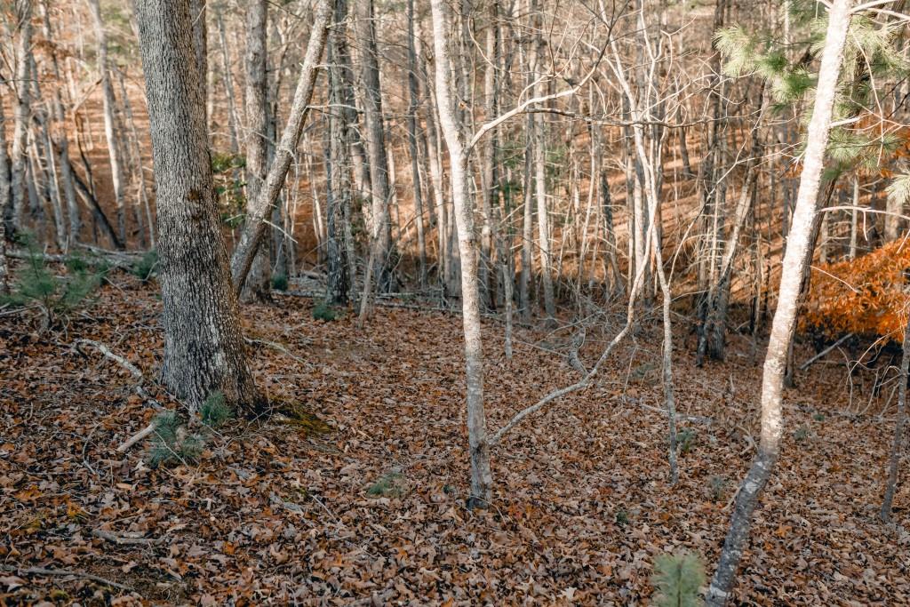 LT 63 Ridges Of Blue Ridge, Morganton, Georgia image 4