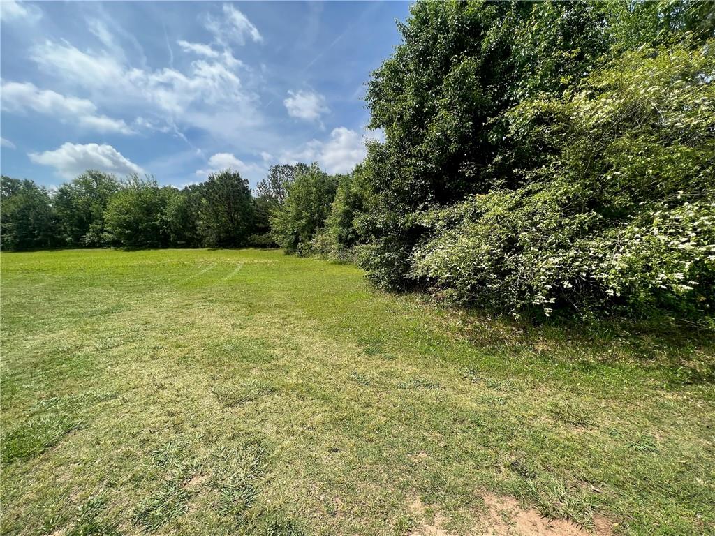 156 Orchard Park Drive, Mcdonough, Georgia image 5