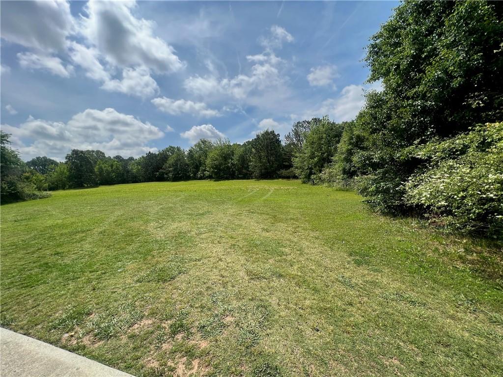 156 Orchard Park Drive, Mcdonough, Georgia image 4