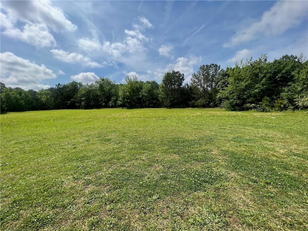 156 Orchard Park Drive, Mcdonough, Georgia image 1