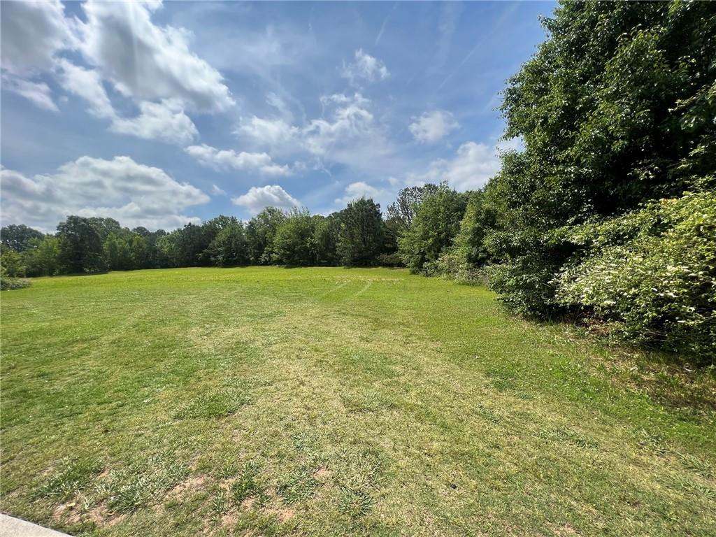 156 Orchard Park Drive, Mcdonough, Georgia image 6