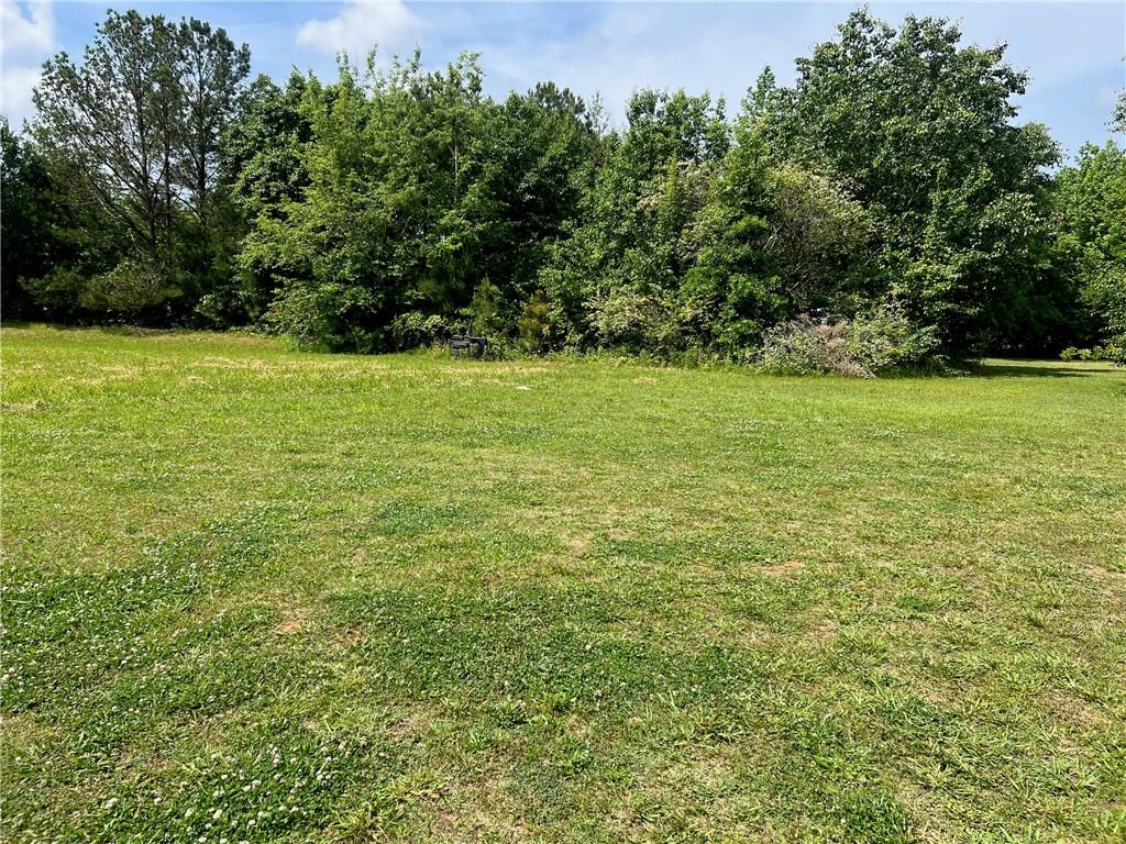 156 Orchard Park Drive, Mcdonough, Georgia image 2