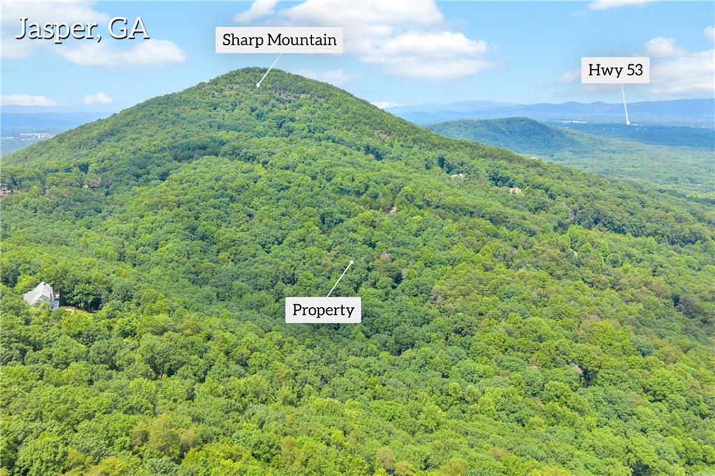 98 Sharp Mountain Parkway