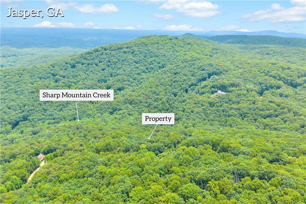 98 Sharp Mountain Parkway
