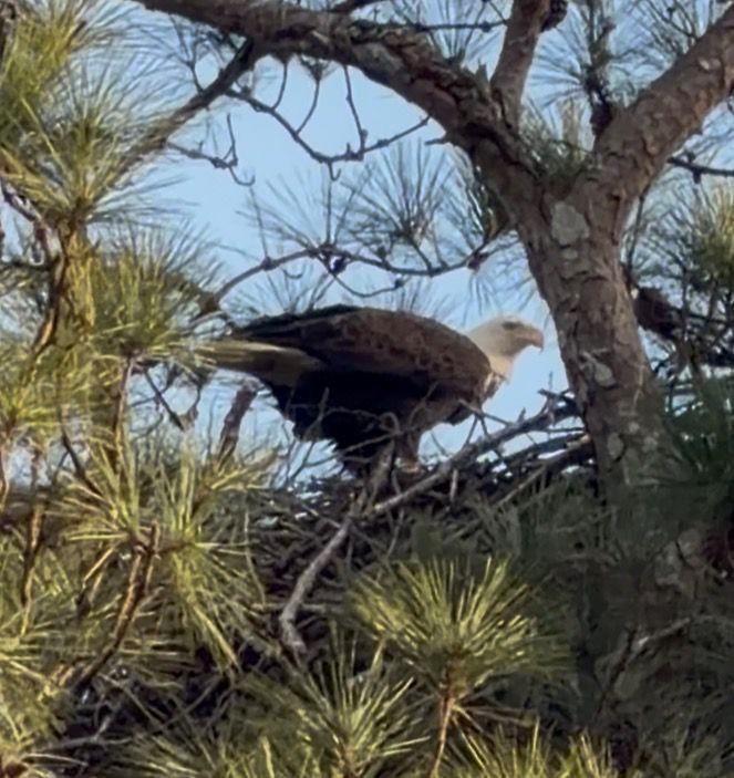 2966 Riviera Drive NW