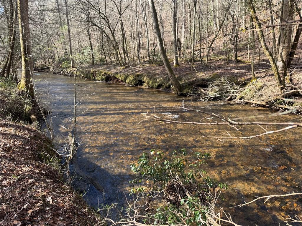 Photo of 0 Black Falls Road, Dahlonega, GA 30533 (MLS # 7841065)