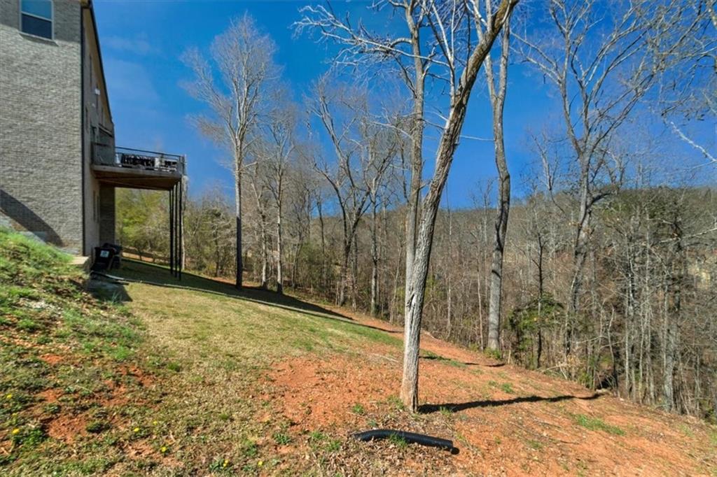 3206 Letha Woods Drive, Conyers, Georgia image 6