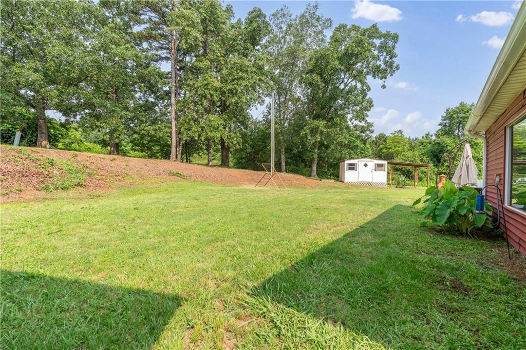 2246 Wildcat Bridge Road, Royston, Georgia image 22
