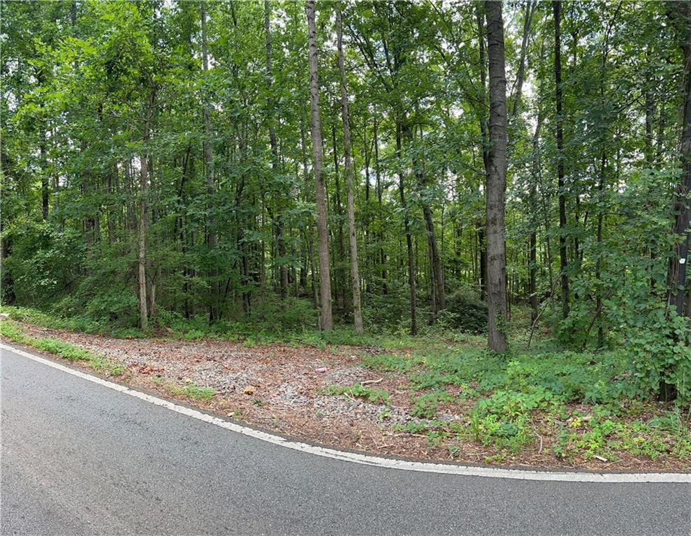 TRACT1 S Mccollum Drive