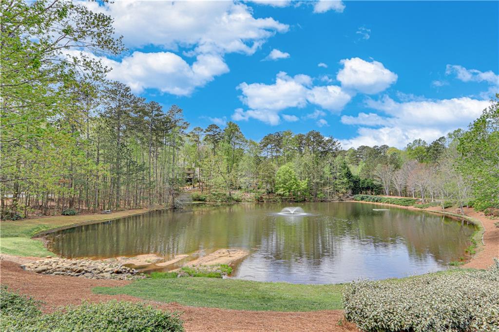 2830 Willow Hill Court, Cumming, Georgia image 39
