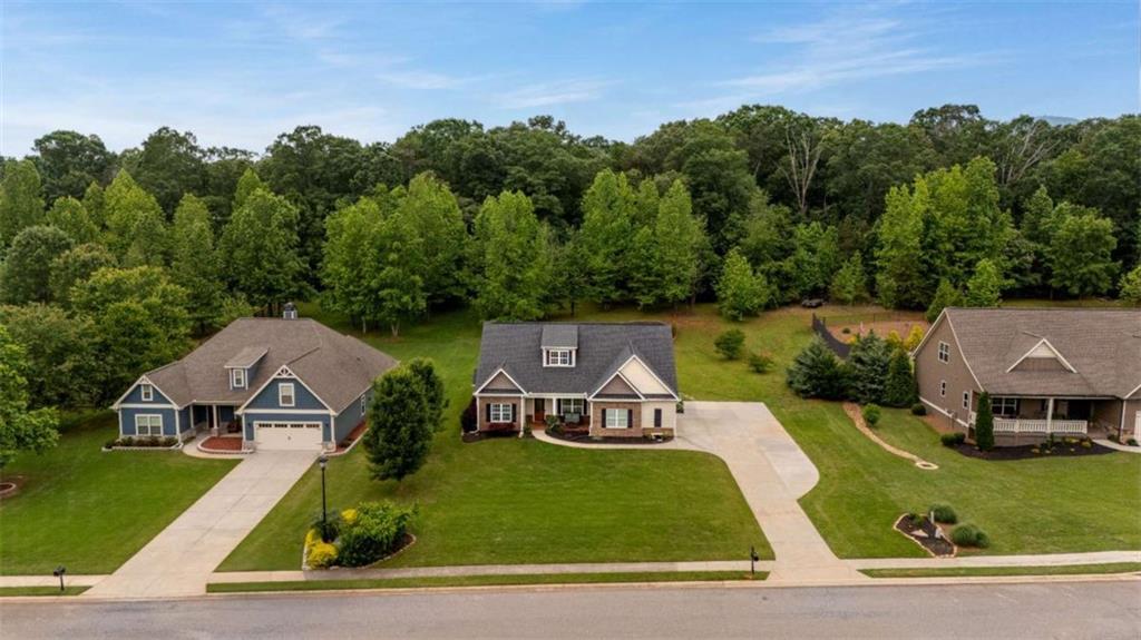 6721 Little Whistle Way, Clermont, Georgia image 48