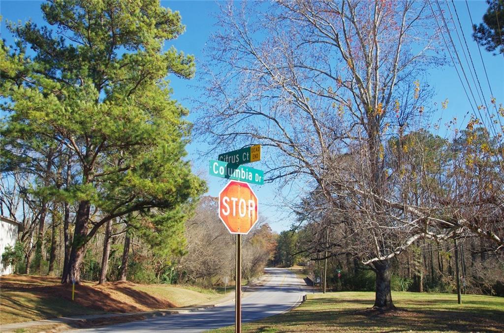 3165 Citrus Court, Decatur, Georgia image 22