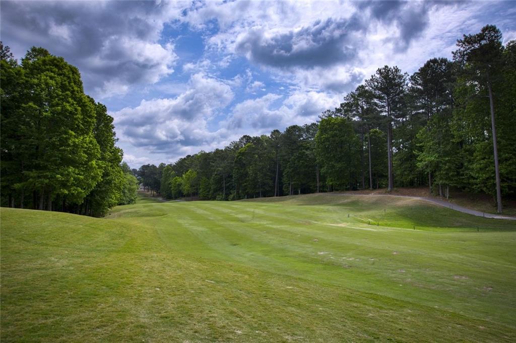300 Maple Grove Court, Canton, Georgia image 35