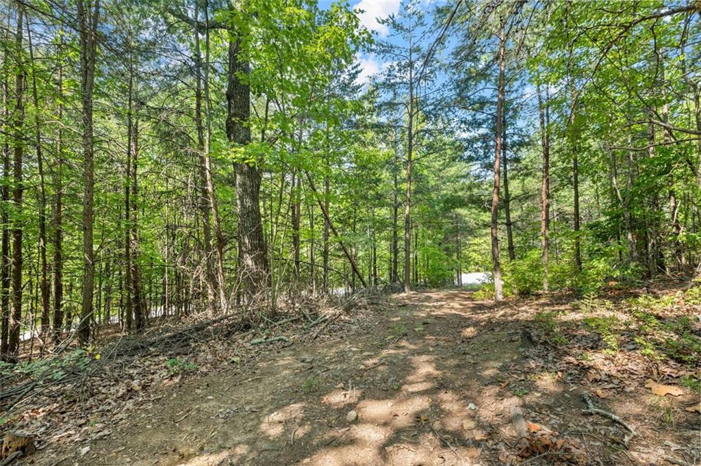 PRICED WELL BELOW ASSESSED VALUE Exceptional 2.07-Acre Lot in Sought-After Community! This beautiful lot offers two potential homesites: one perched near 1,800 feet elevation with breathtaking views, and another closer to the road, featuring flatter terrain and an easier driveway installation. Enjoy modern conveniences with community water, underground utilities, and high-speed internet avail. Nestled in The Highlands—a prestigious neighborhood known for its elegant estate homes on spacious lots—residents enjoy access to a scenic 3-acre stocked pond, serene walking trails, and a charming community pavilion. Conveniently located just minutes from Clarkesville, Tallulah Falls, and The Orchard Golf & Country Club. Soil tests available. Build your dream home in the mountains today!