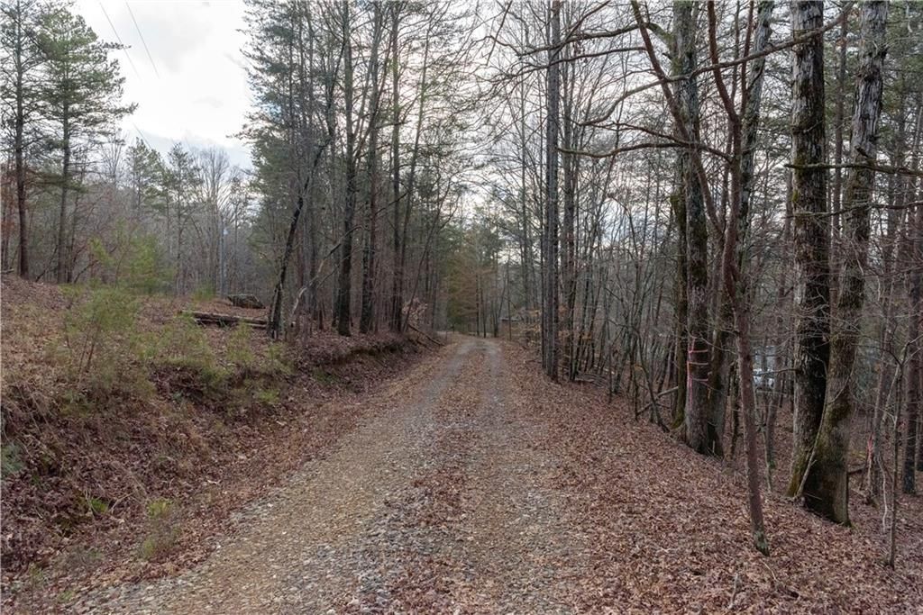 Photo of 1475 Paradise Park Road, Cornelia, GA 30531 (MLS # 7727678)