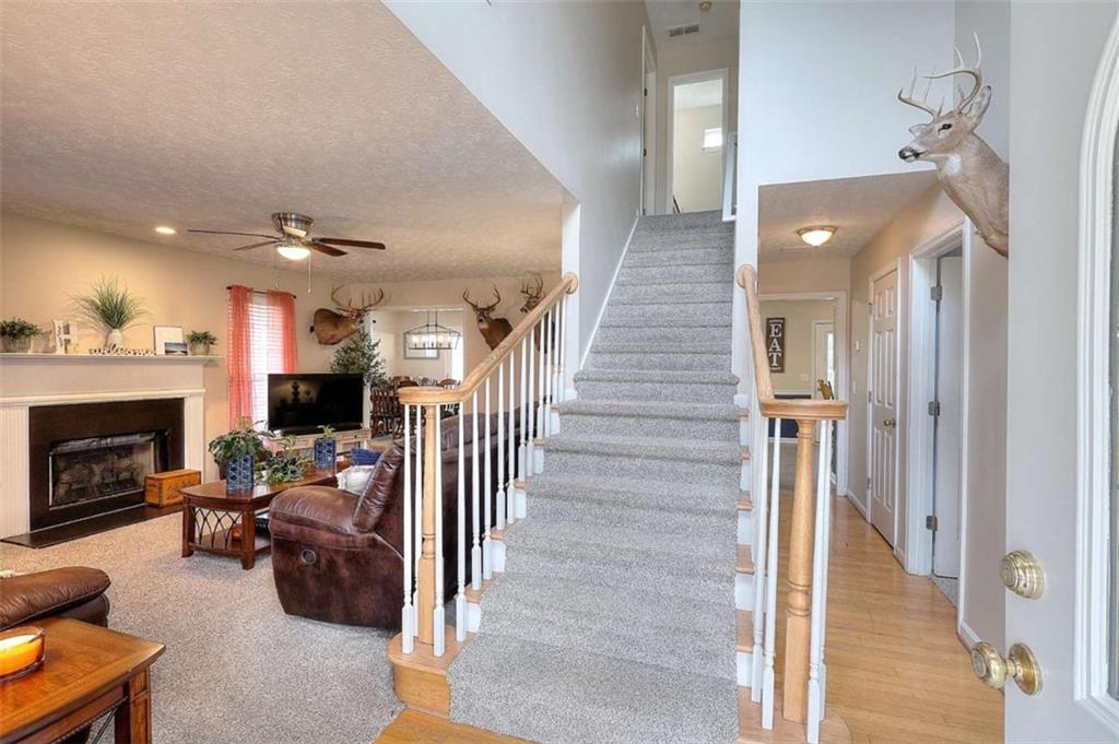 Vinnys Lake - Residential