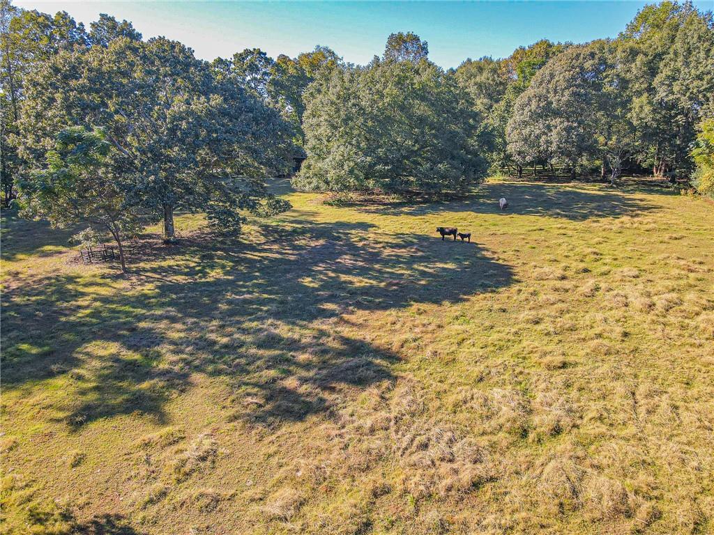 460 Herbert Segars Road, Gillsville, Georgia image 15