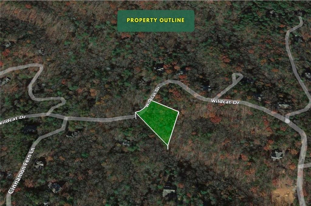 2192 Wildcat Drive, Dawsonville, Georgia image 8