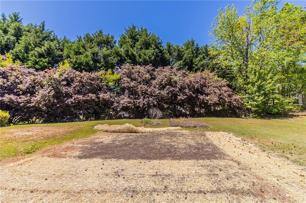 498 Haven Ridge Drive, Stockbridge, Georgia image 29