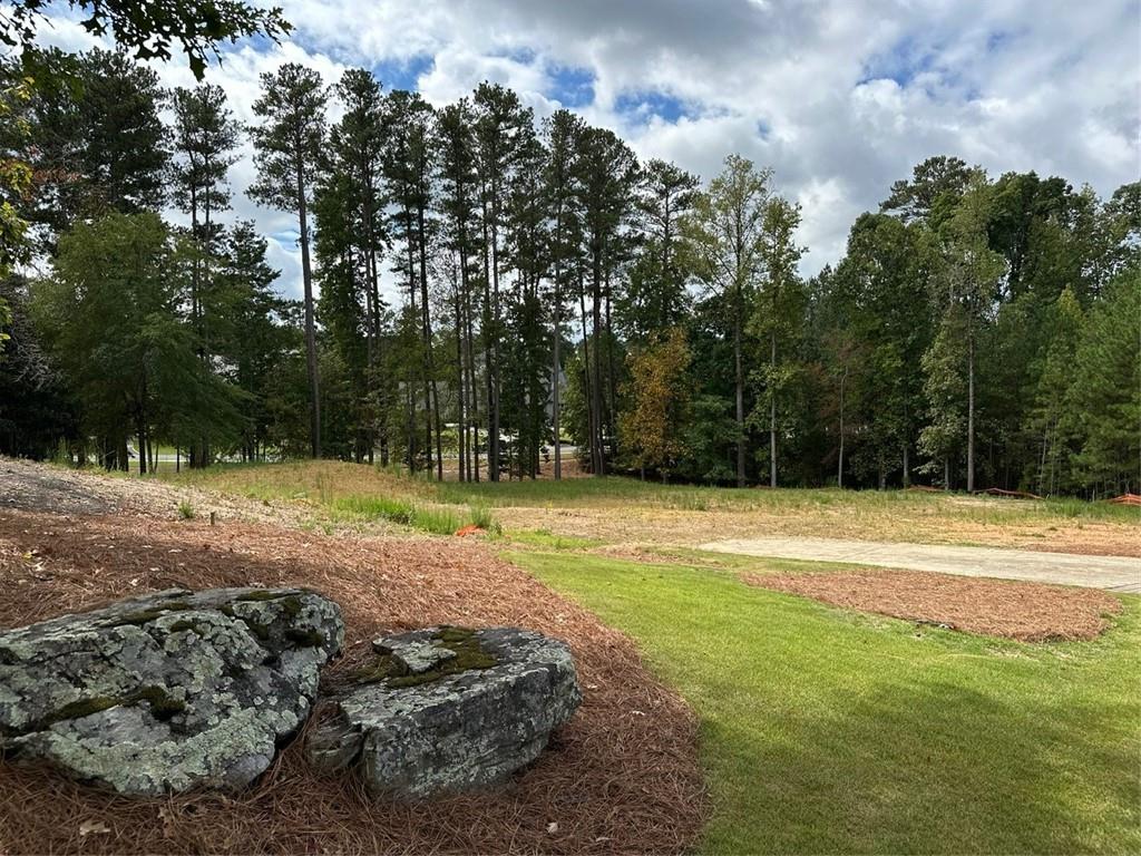 4734 Cuyahoga Cove, Suwanee, Georgia image 9