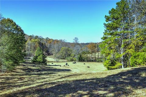 Vacant Land For Sale - 711 East Cochran Road<br/> Ranger, GA 30734
