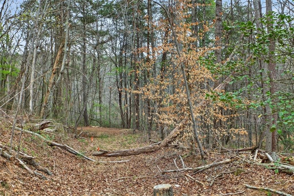 1812 Upper Bethany Rd.