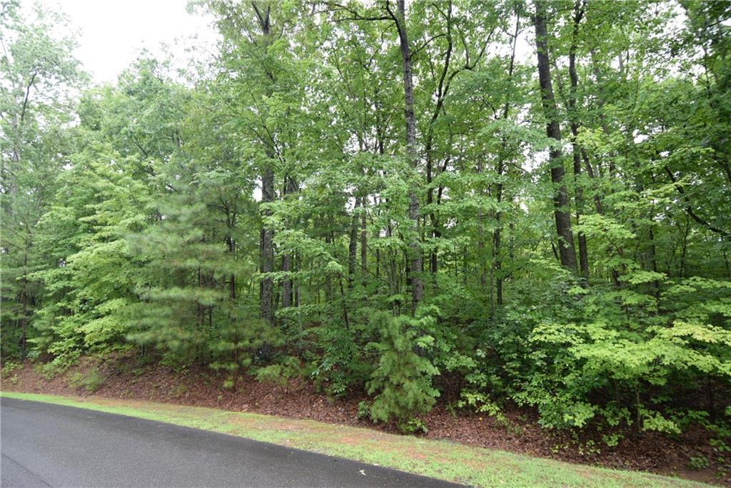 76 N Harris Creek Drive, Ellijay, Georgia image 6
