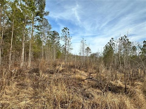 Unimproved Land in Taylorsville GA 00 Satcher Road.jpg