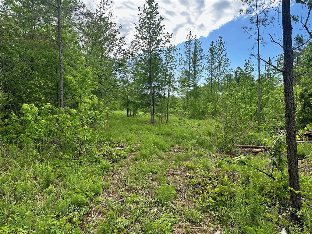 00 Satcher Road, Taylorsville, Georgia image 2