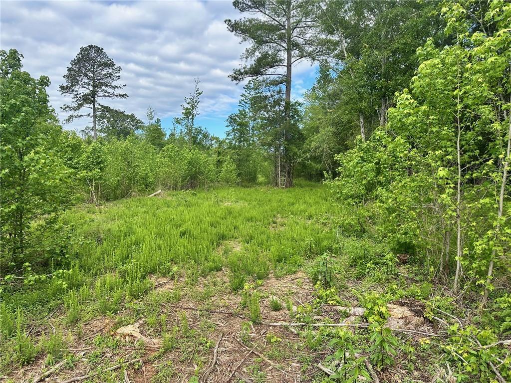 00 Satcher Road, Taylorsville, Georgia image 5
