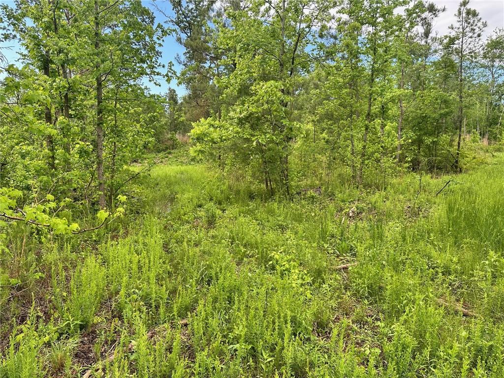 00 Satcher Road, Taylorsville, Georgia image 4