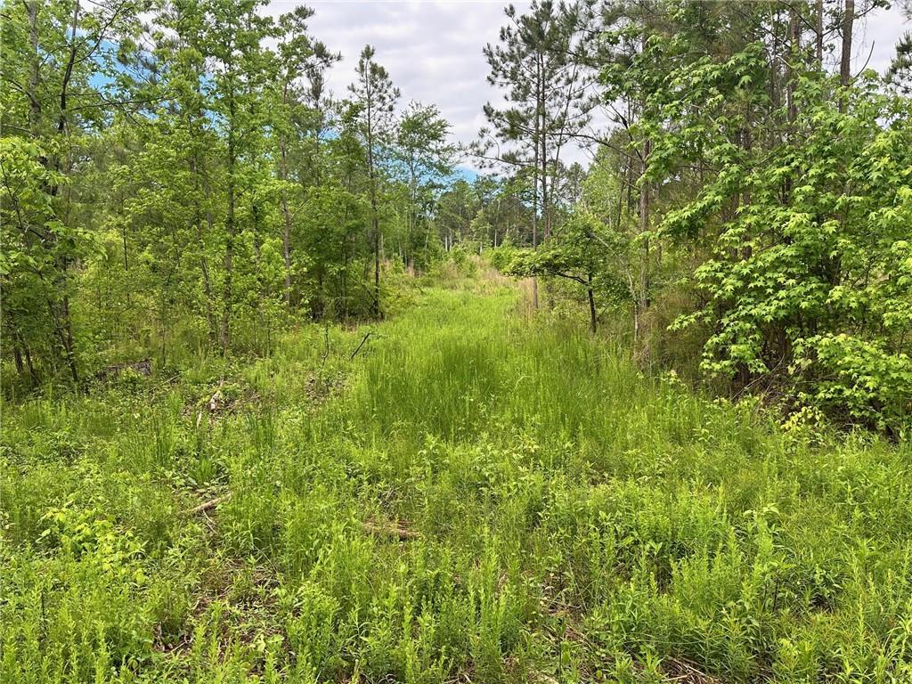 00 Satcher Road, Taylorsville, Georgia image 3