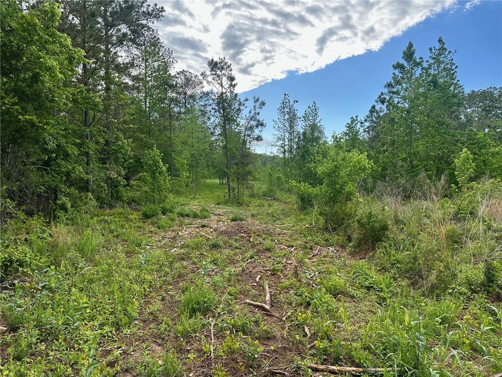 00 Satcher Road, Taylorsville, Georgia image 1