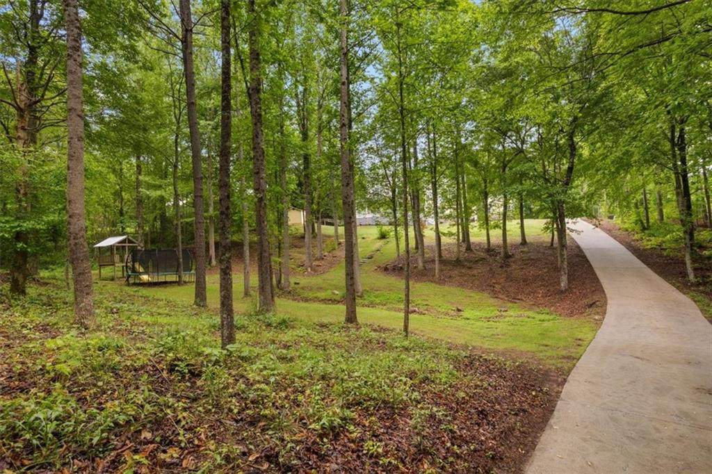 145 Pine Bark Trail, Waleska, Georgia image 45