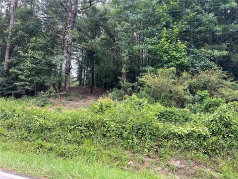 Vacant Land For Sale - 3963 Dabbs Bridge Road<br/> Acworth, GA 30101