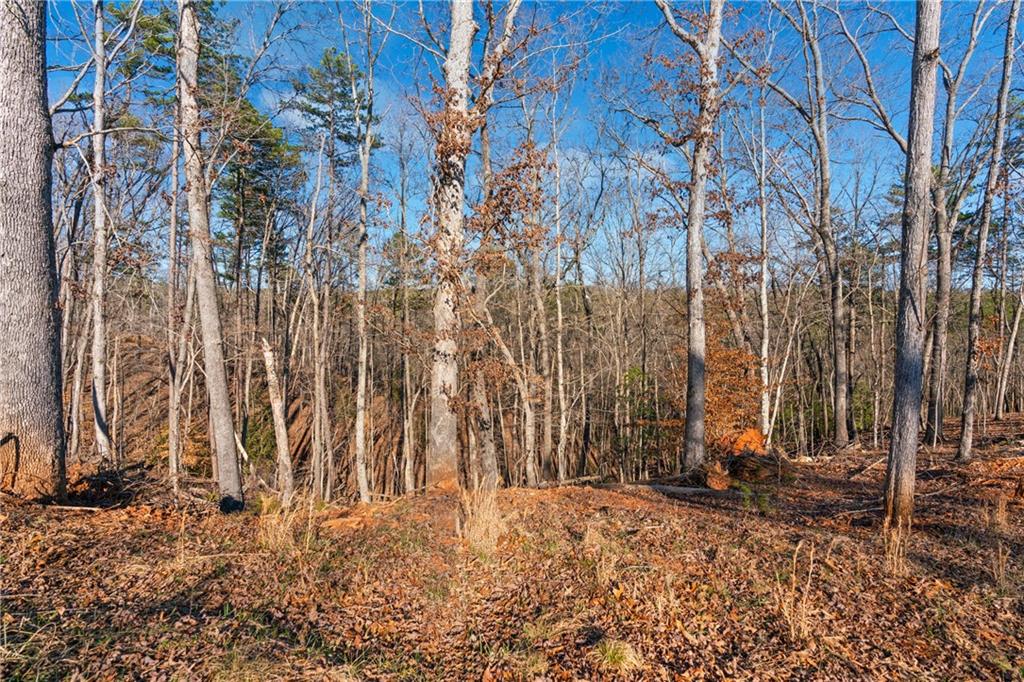 Etowah River Estates, Dahlonega, Georgia image 5