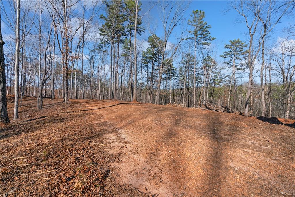 Etowah River Estates, Dahlonega, Georgia image 6