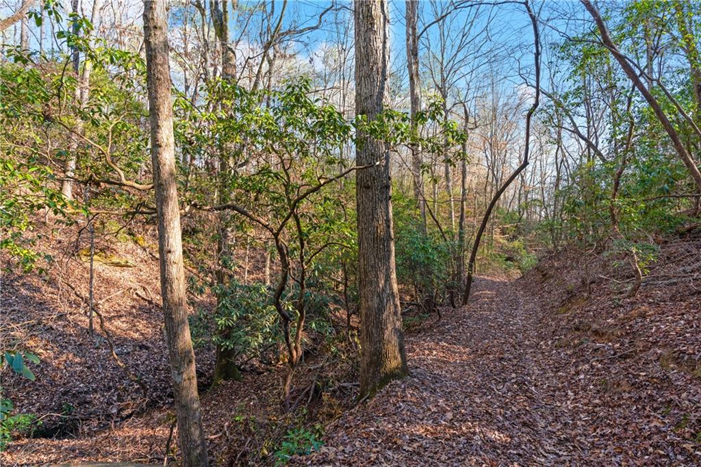 Etowah River Estates, Dahlonega, Georgia image 9