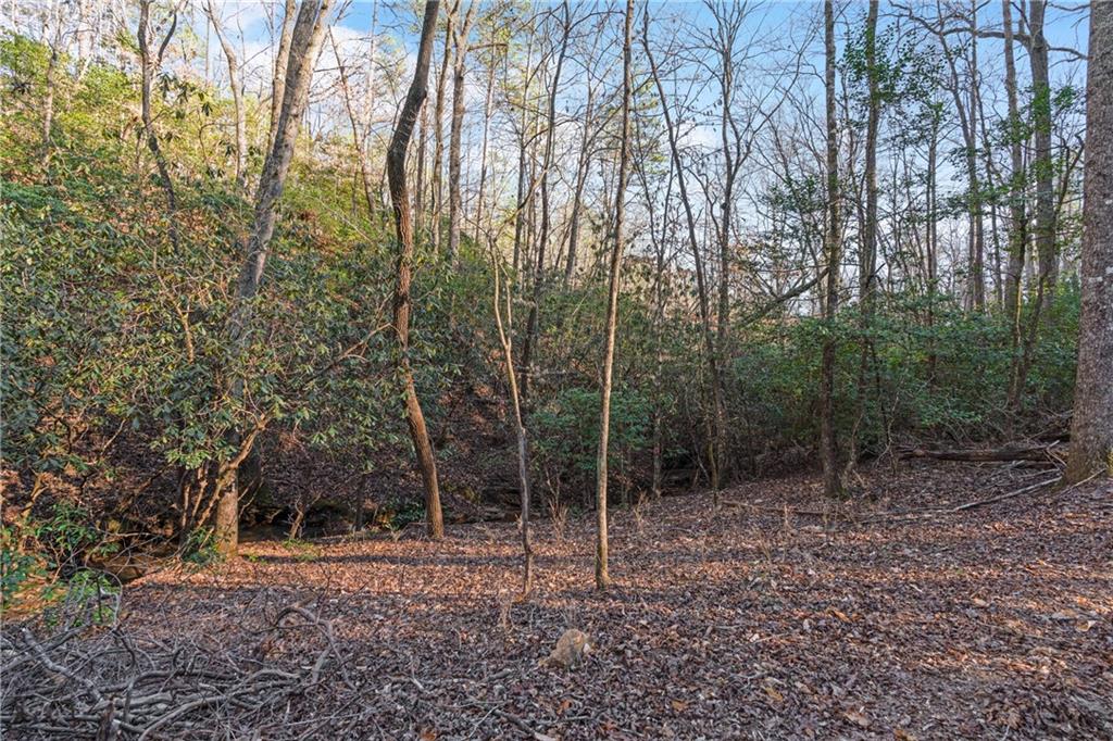 Etowah River Estates, Dahlonega, Georgia image 7
