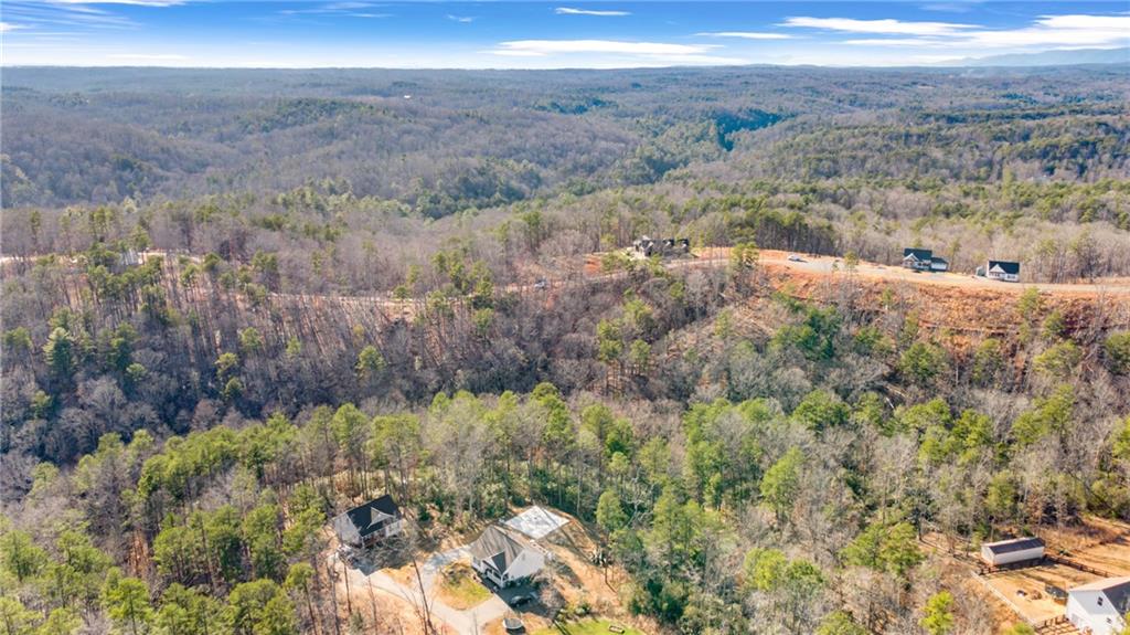 Etowah River Estates, Dahlonega, Georgia image 24