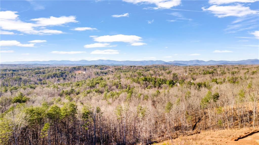 Etowah River Estates, Dahlonega, Georgia image 19