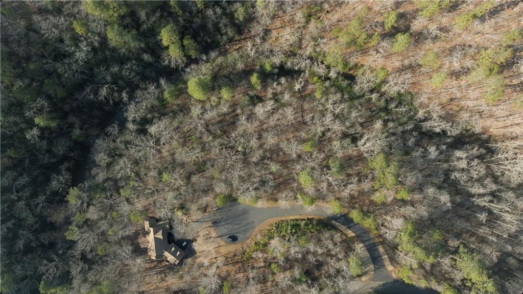 Welcome to your next lot of the Tranquility at Carter's Lake subdivision, located conveniently off HWY 382. Here you will find beautiful
homes nestled within within the woods, next to the creeks and lake. This particular lot is located in the cul-de-sac of Tumbling Waters Ln,
and features a CREEK at the back of the property! This community offers a boat ramp, adorable park, and plenty of views. Come build your
next dream home here, and experience tranquility.