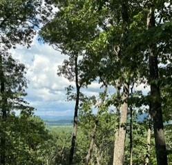 780 Sunset Ridge, Talking Rock, Georgia image 15