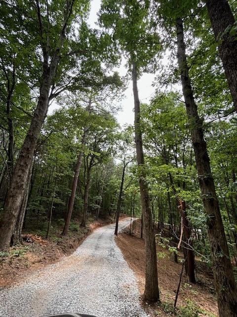 780 Sunset Ridge, Talking Rock, Georgia image 7