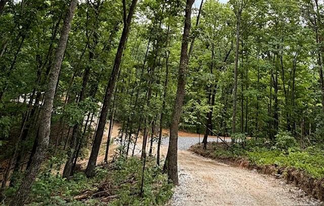 780 Sunset Ridge, Talking Rock, Georgia image 8