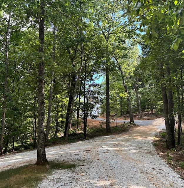 780 Sunset Ridge, Talking Rock, Georgia image 10