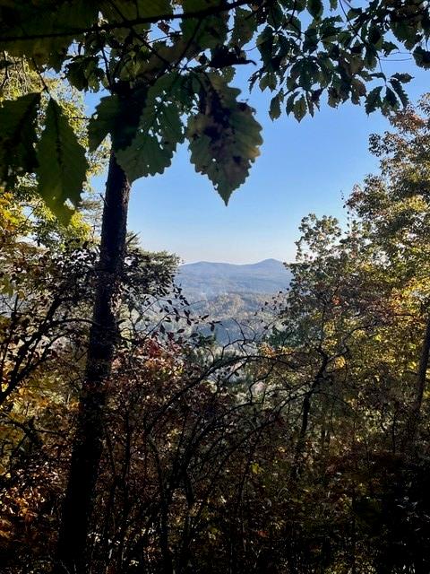 780 Sunset Ridge, Talking Rock, Georgia image 17