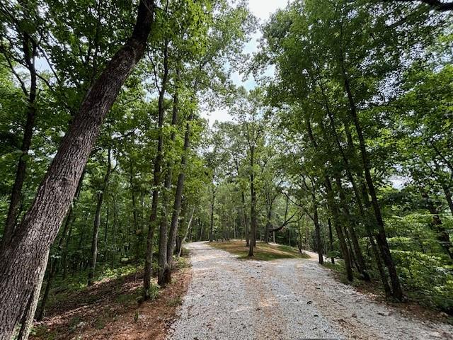 780 Sunset Ridge, Talking Rock, Georgia image 9