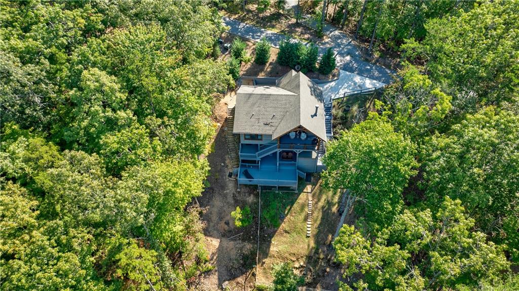 82 Haley Drive, Cherry Log, Georgia image 37