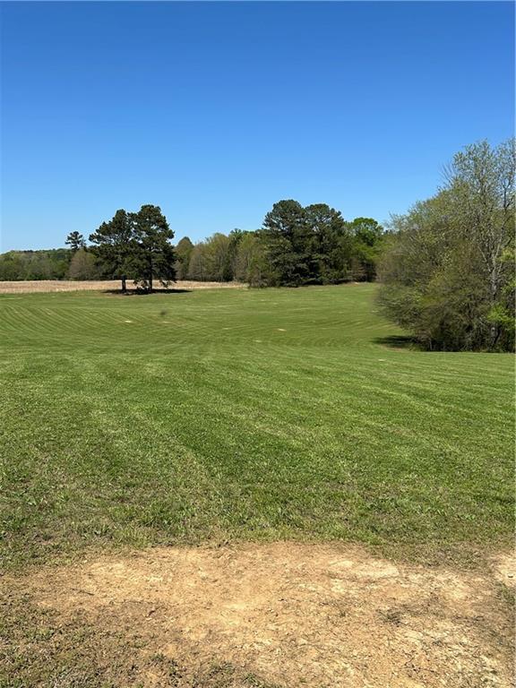 433 Spring Place Reseca Road, Resaca, Georgia image 17
